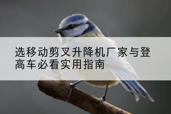 舟山电动升降机厂家-选移动剪叉升降机厂家与登高车必看实用指南