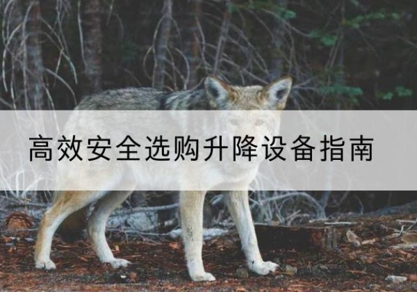 舟山升降货梯厂家推荐-*安全选购升降设备指南